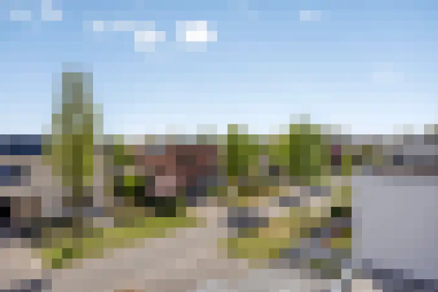Schorrenkruid 71 Bergen op Zoom thumbnail 63