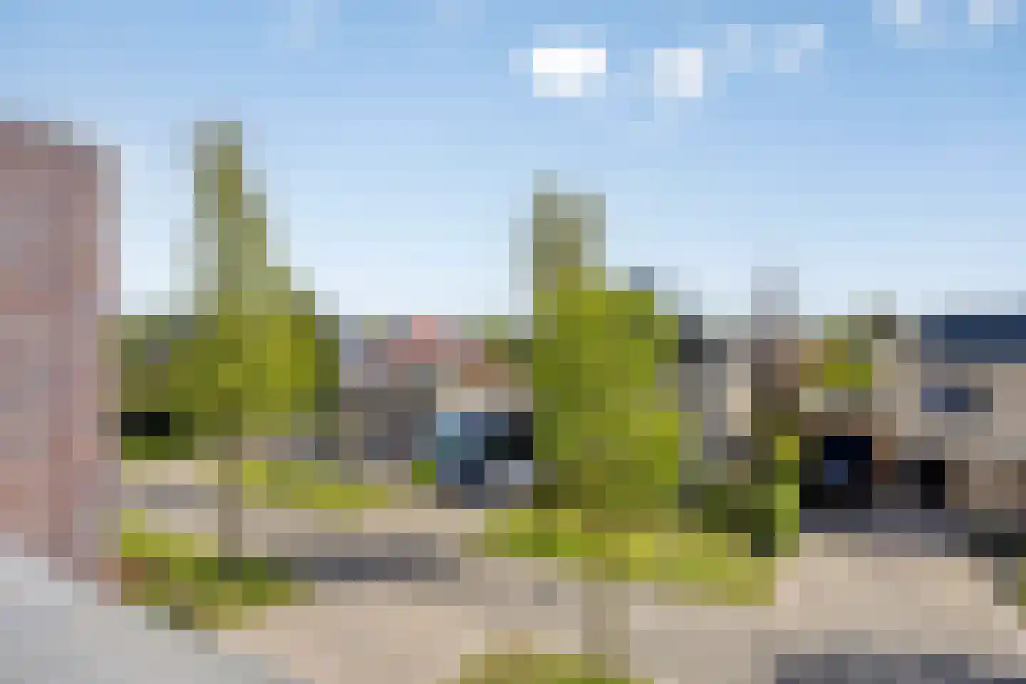 Schorrenkruid 71 Bergen op Zoom thumbnail 64