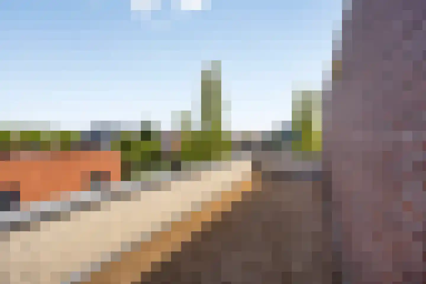 Schorrenkruid 71 Bergen op Zoom thumbnail 65