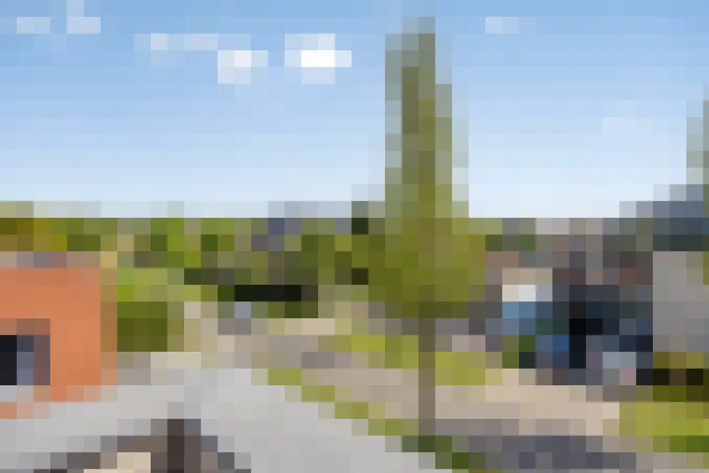 Schorrenkruid 71 Bergen op Zoom thumbnail 67