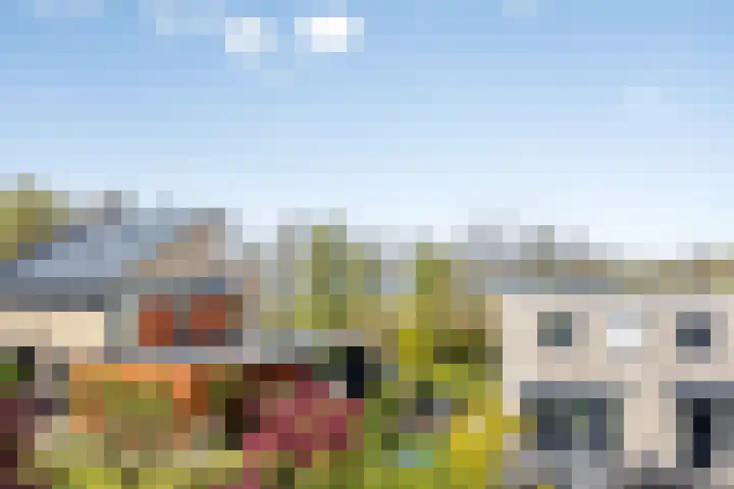 Schorrenkruid 71 Bergen op Zoom thumbnail 68