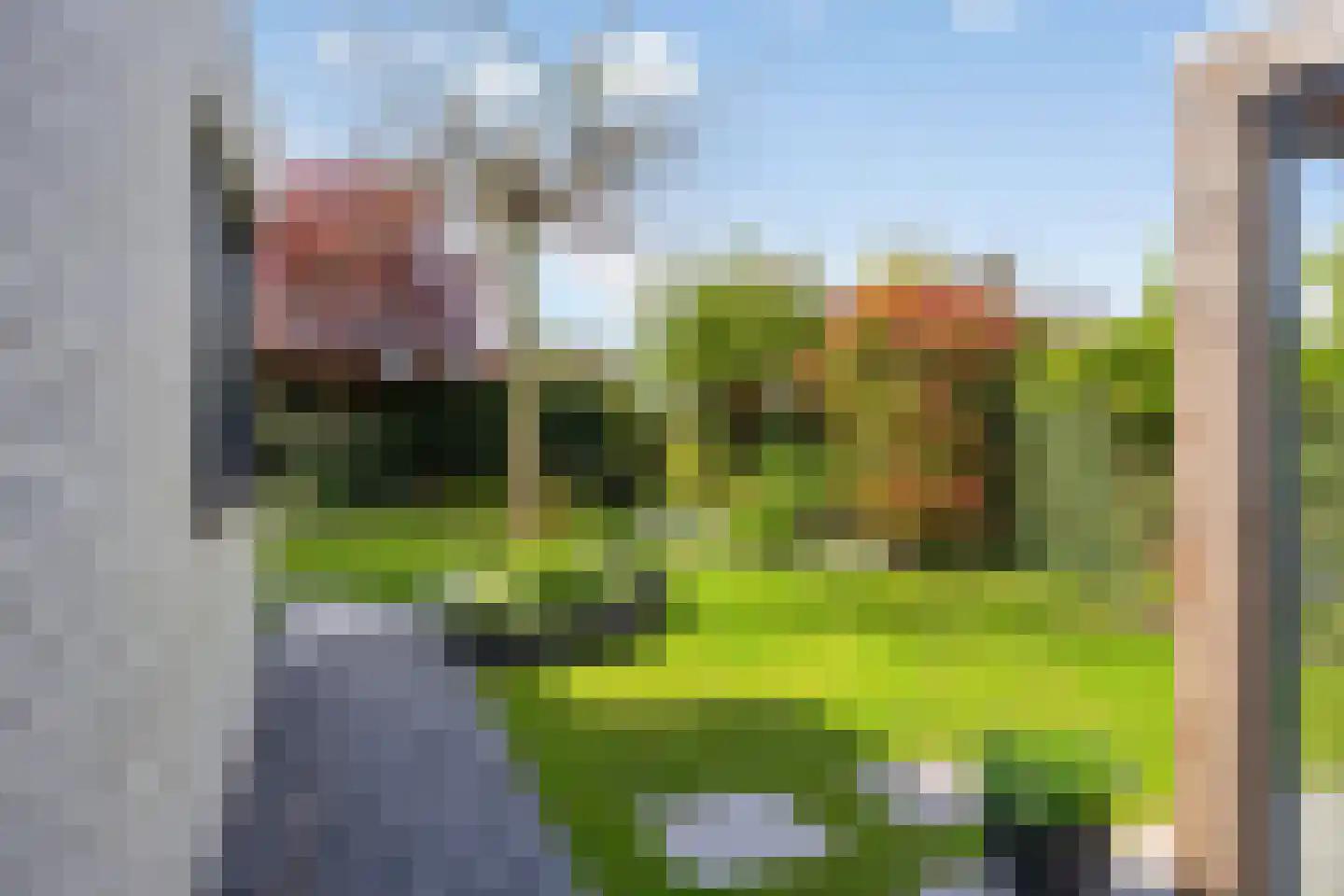Schorrenkruid 71 Bergen op Zoom thumbnail 69