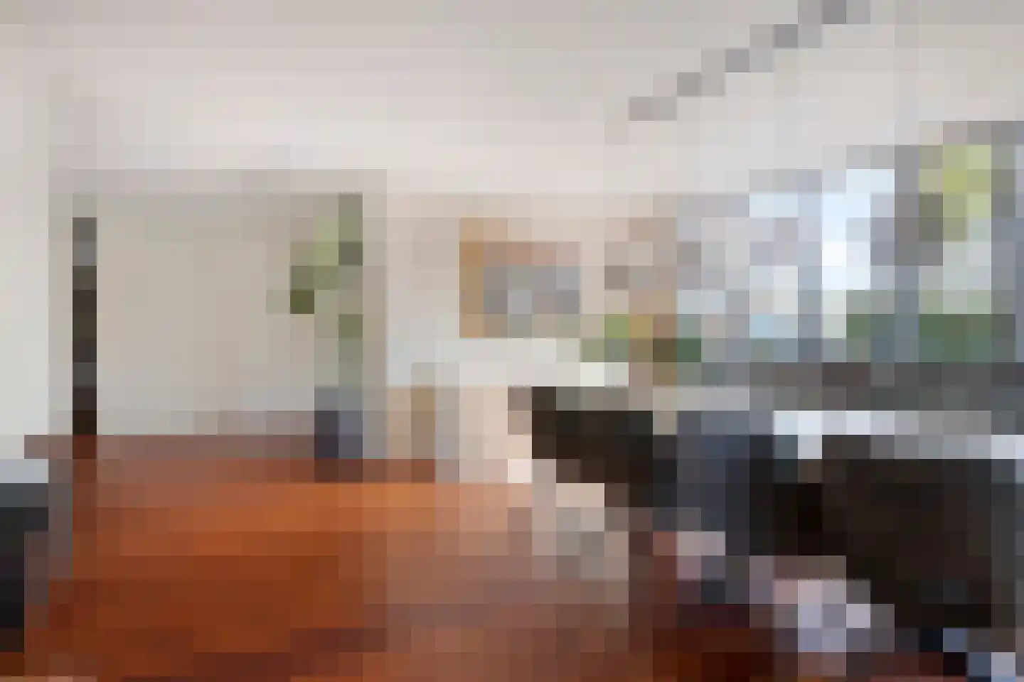 Schorrenkruid 71 Bergen op Zoom thumbnail 7