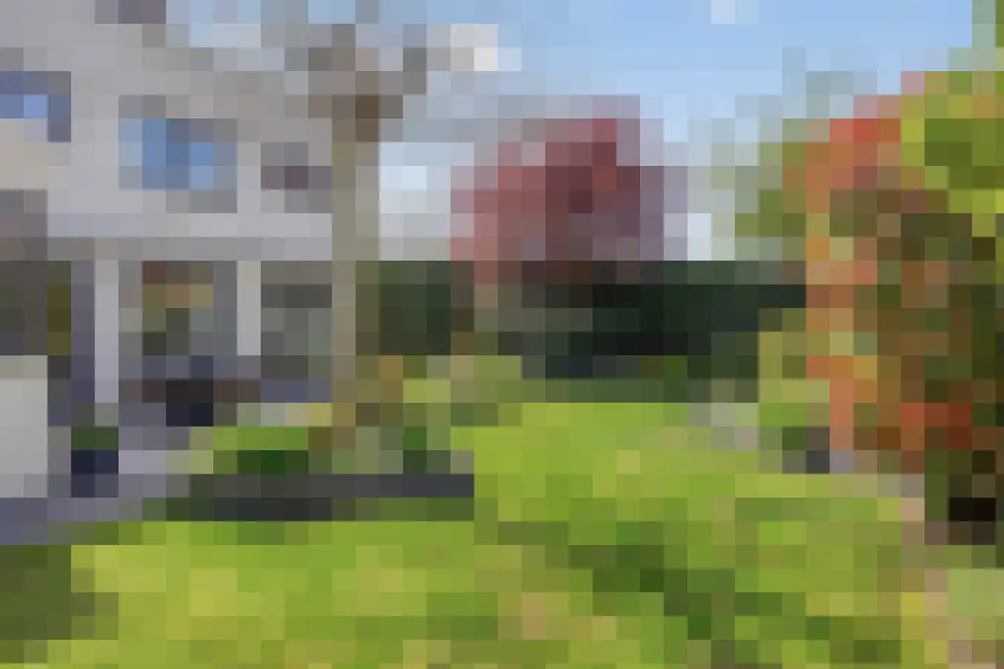 Schorrenkruid 71 Bergen op Zoom thumbnail 71