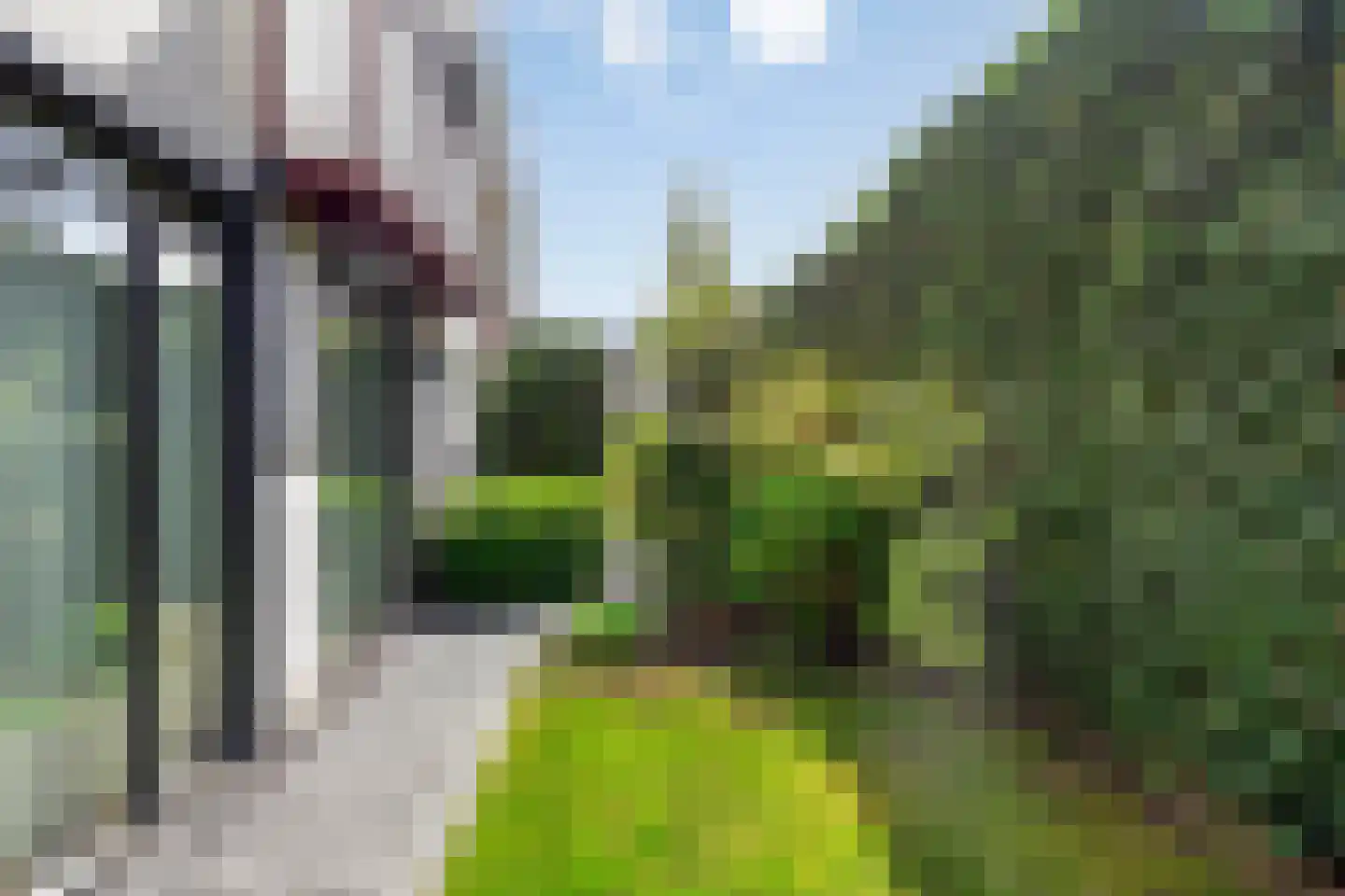 Schorrenkruid 71 Bergen op Zoom thumbnail 75