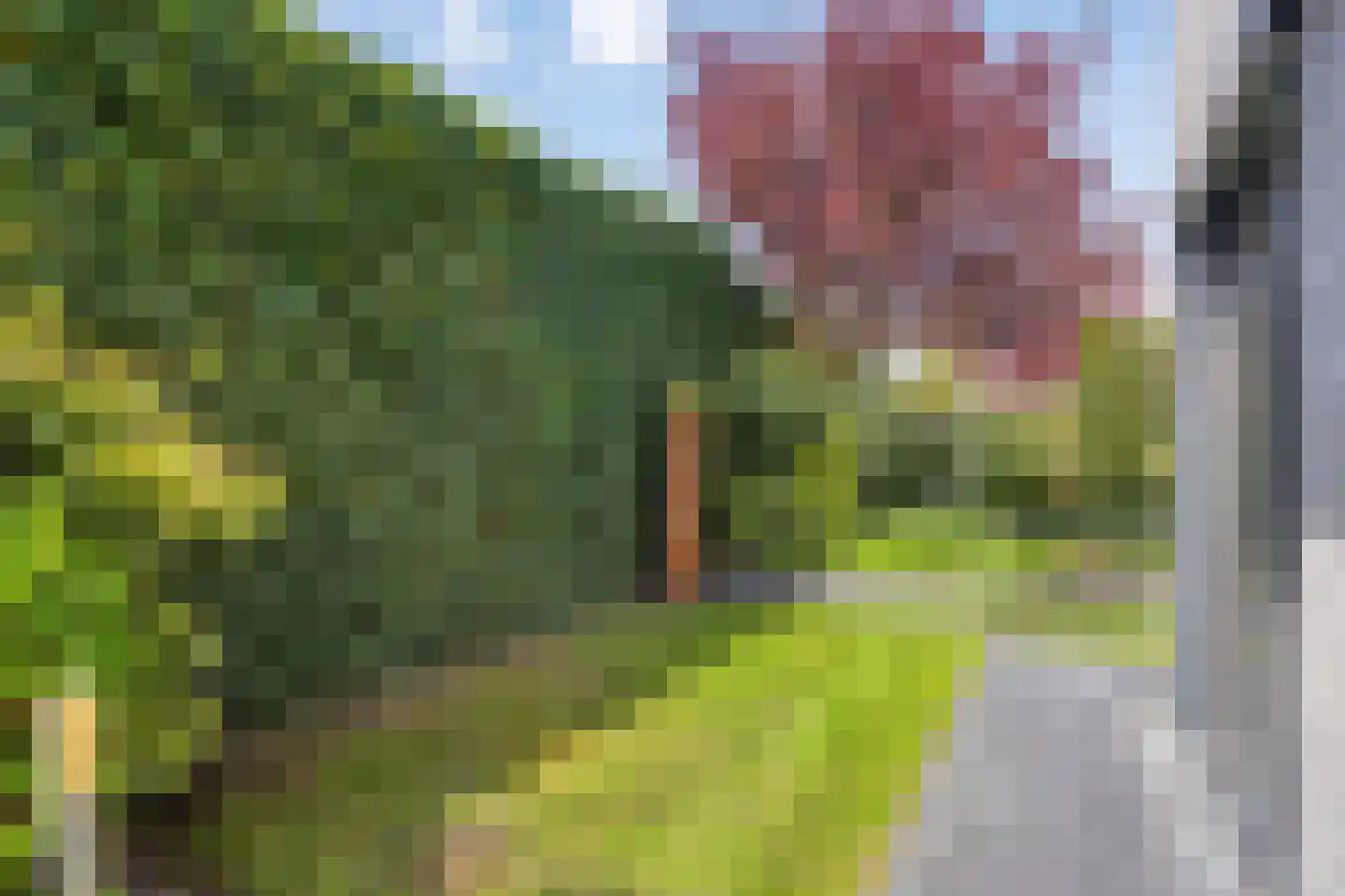 Schorrenkruid 71 Bergen op Zoom thumbnail 76