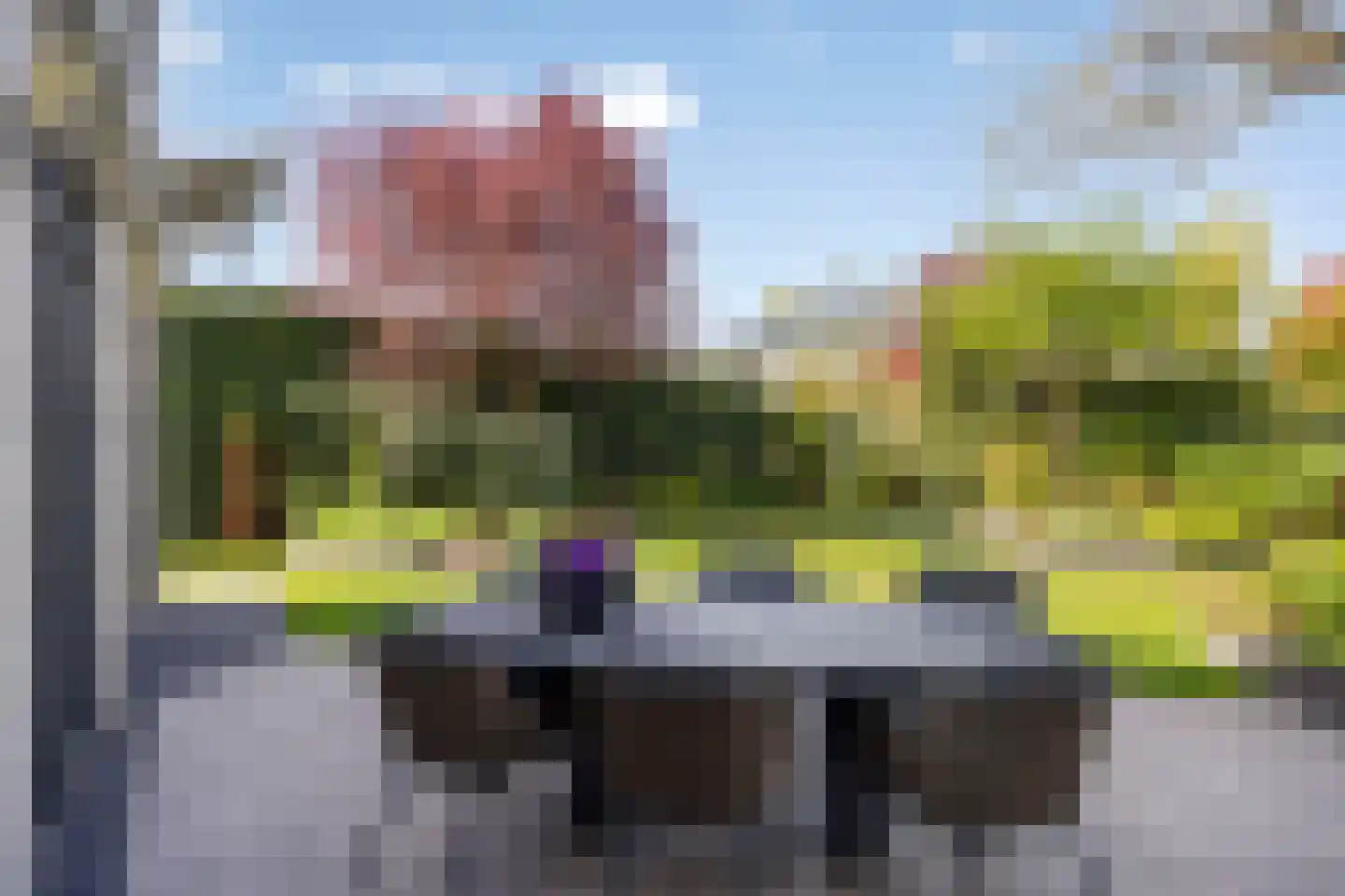 Schorrenkruid 71 Bergen op Zoom thumbnail 77