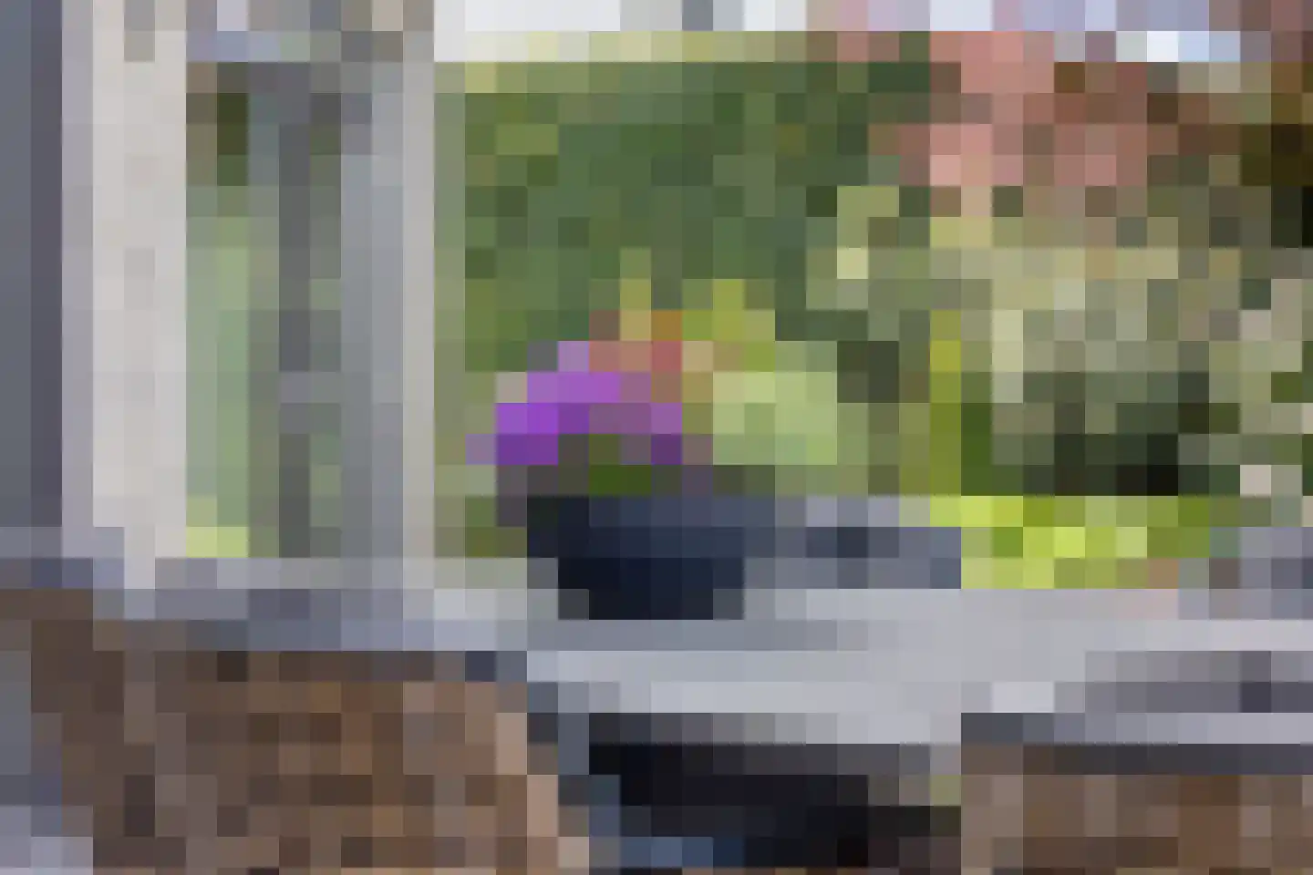 Schorrenkruid 71 Bergen op Zoom thumbnail 78
