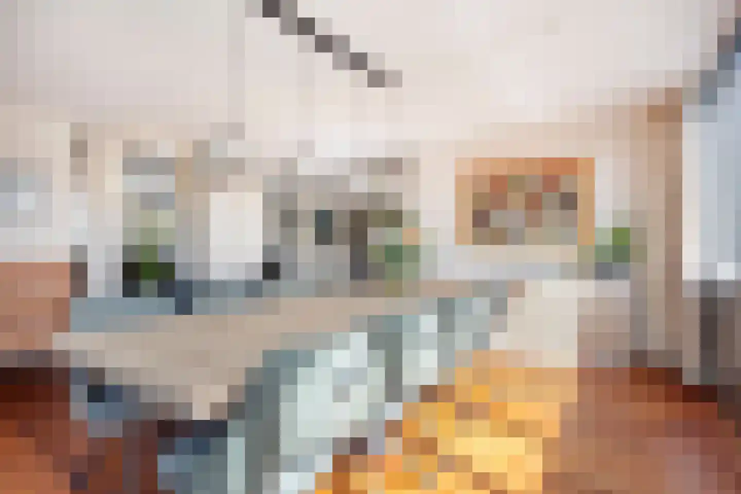 Schorrenkruid 71 Bergen op Zoom thumbnail 8