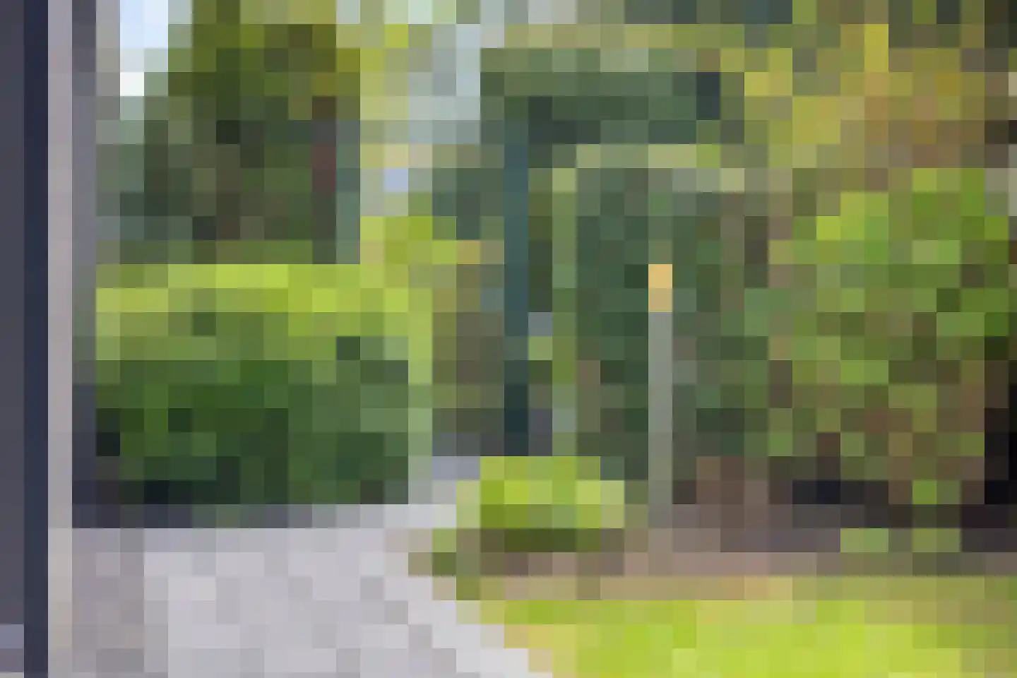 Schorrenkruid 71 Bergen op Zoom thumbnail 81