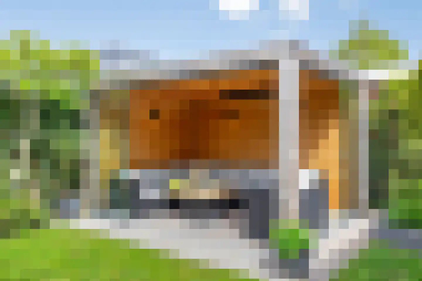 Schorrenkruid 71 Bergen op Zoom thumbnail 82