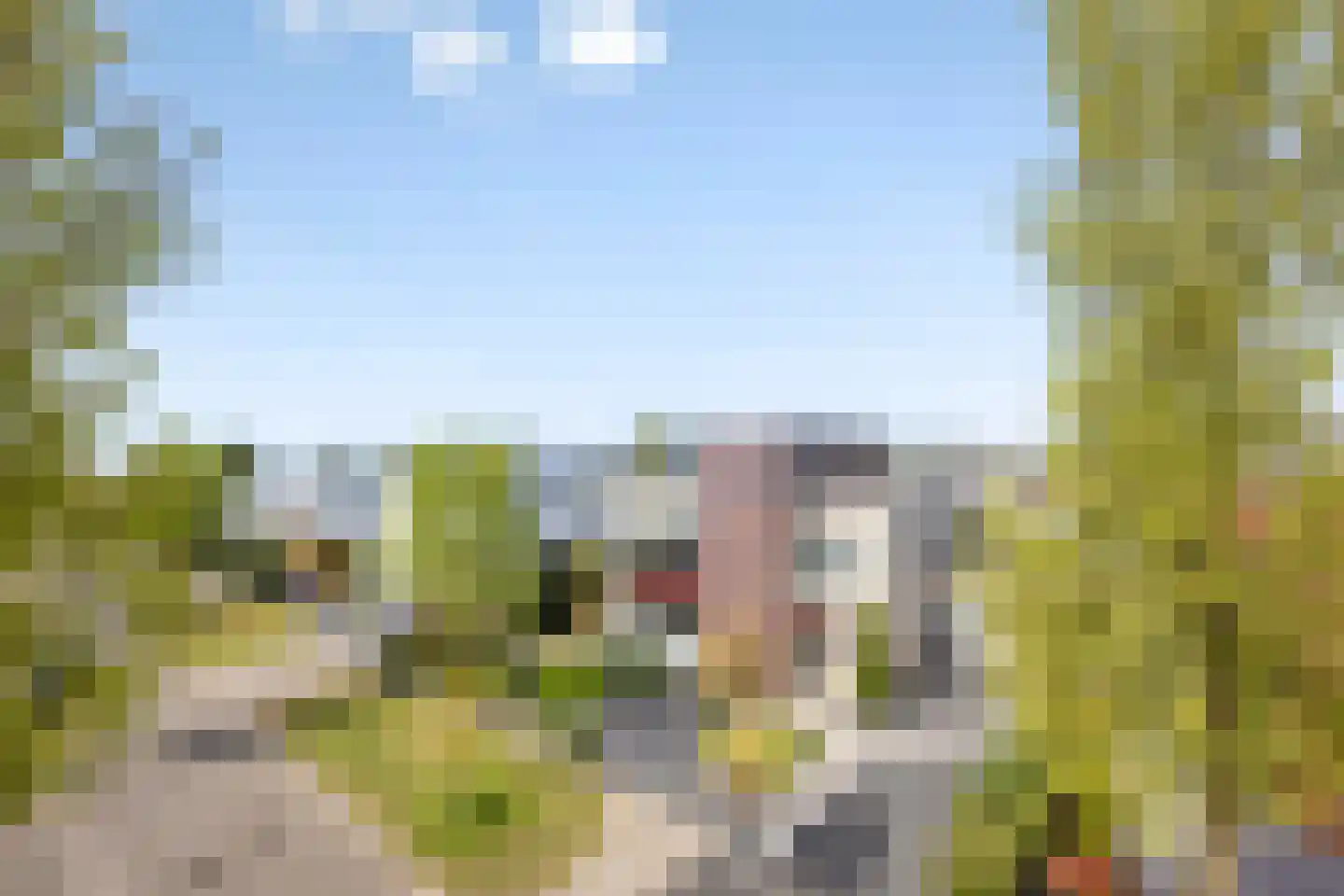 Schorrenkruid 71 Bergen op Zoom thumbnail 83