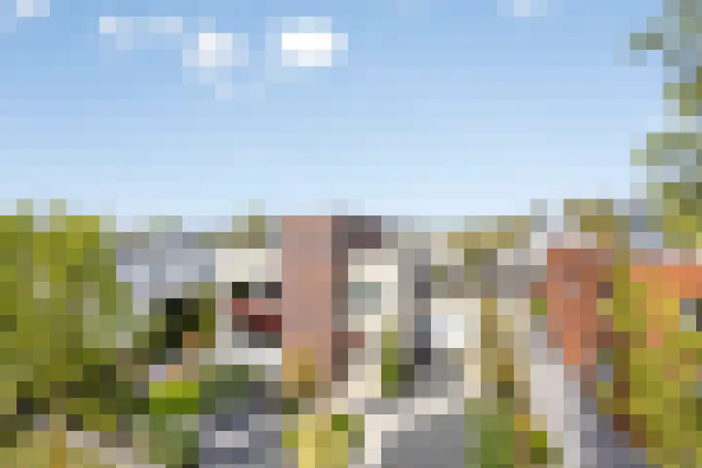 Schorrenkruid 71 Bergen op Zoom thumbnail 84
