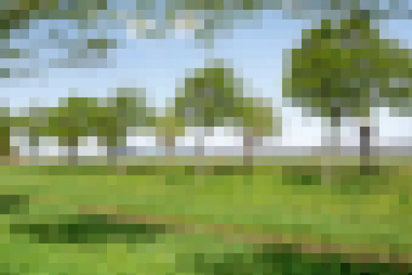 Schorrenkruid 71 Bergen op Zoom thumbnail 88