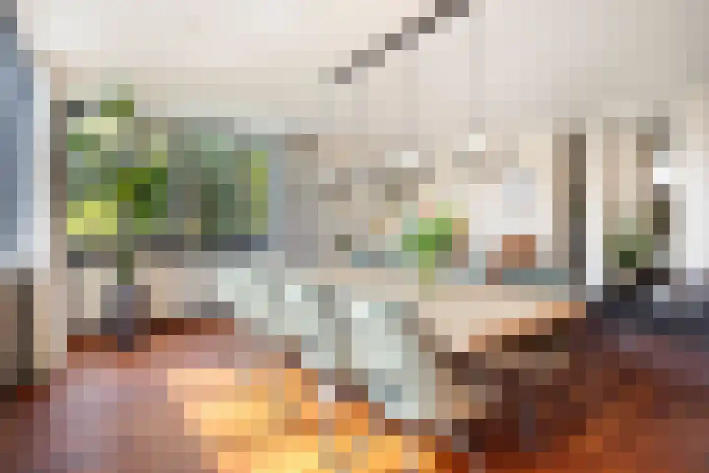 Schorrenkruid 71 Bergen op Zoom thumbnail 9