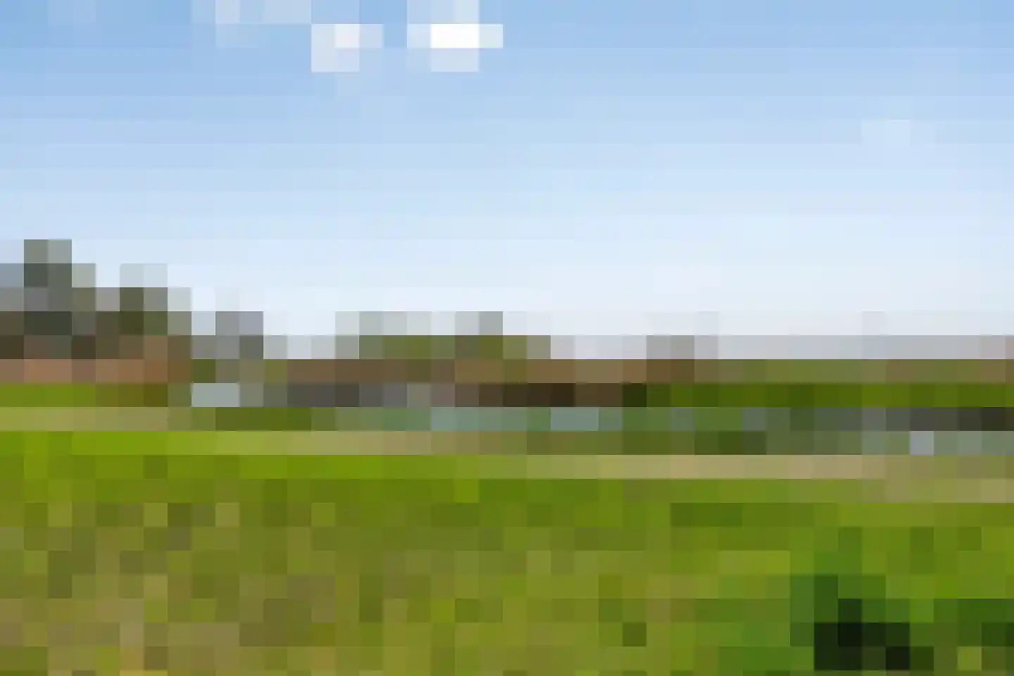 Schorrenkruid 71 Bergen op Zoom thumbnail 90