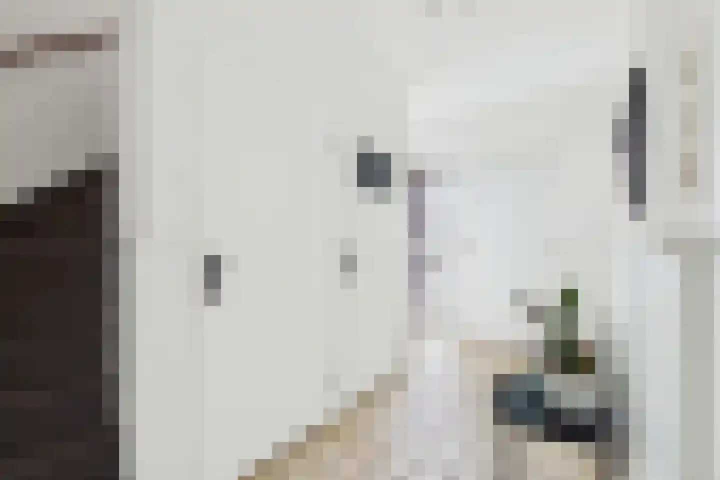 Schorrenkruidlaan 13 Philippine thumbnail 8