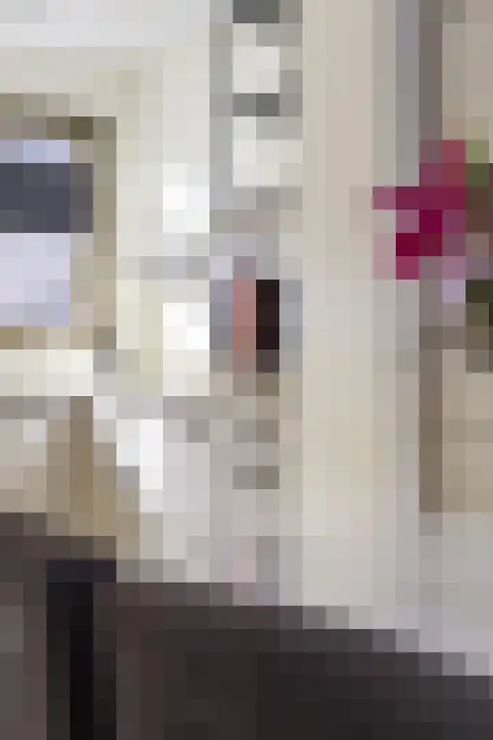 Schorsmolenstraat 105 Groningen thumbnail 10