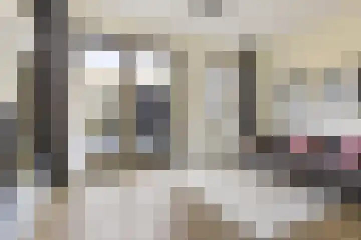 Schorsmolenstraat 105 Groningen thumbnail 15