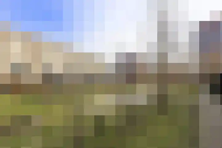 Schorsmolenstraat 105 Groningen thumbnail 19