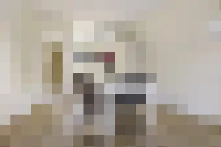 Schorsmolenstraat 105 Groningen thumbnail 9