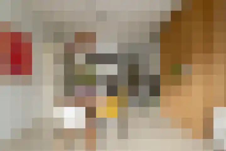 Schorsmolenstraat 107 Groningen thumbnail 12