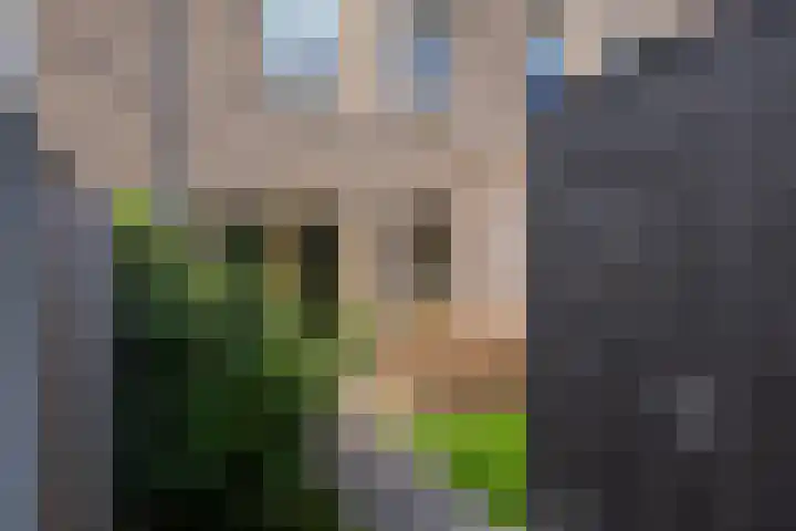 Schorsmolenstraat 107 Groningen thumbnail 37