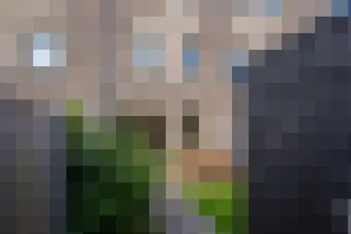 Schorsmolenstraat 107 Groningen thumbnail 38
