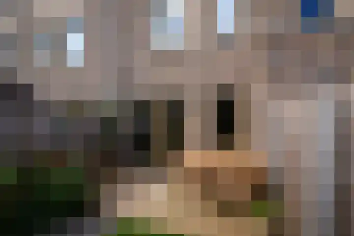Schorsmolenstraat 107 Groningen thumbnail 40