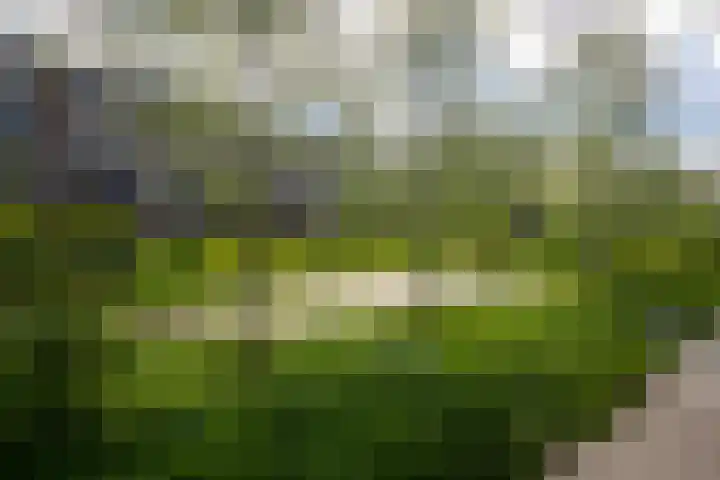 Schorsmolenstraat 107 Groningen thumbnail 44