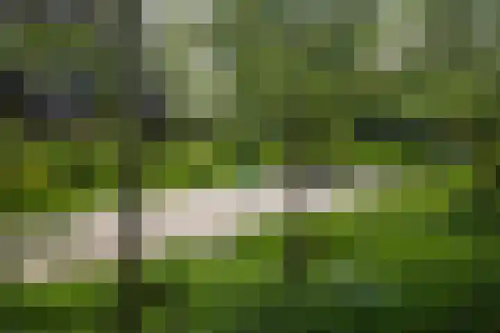 Schorsmolenstraat 107 Groningen thumbnail 45
