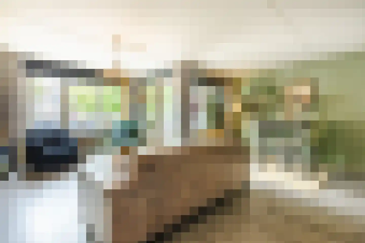 Schorsmolenstraat 3 B Breda thumbnail 11