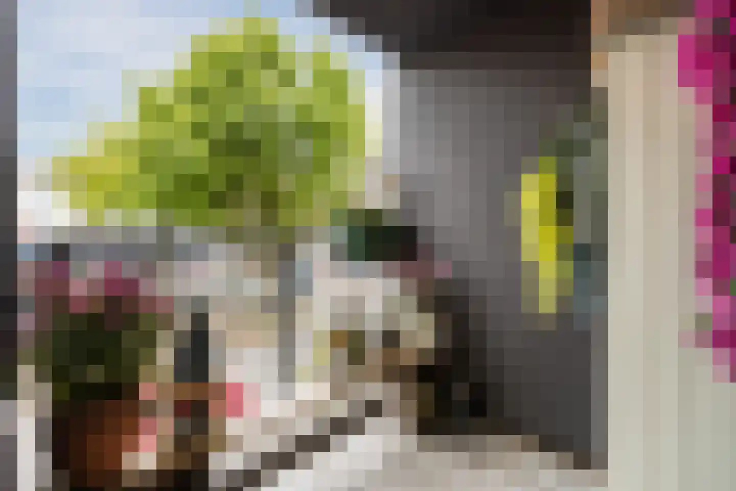 Schorsmolenstraat 3 B Breda thumbnail 19