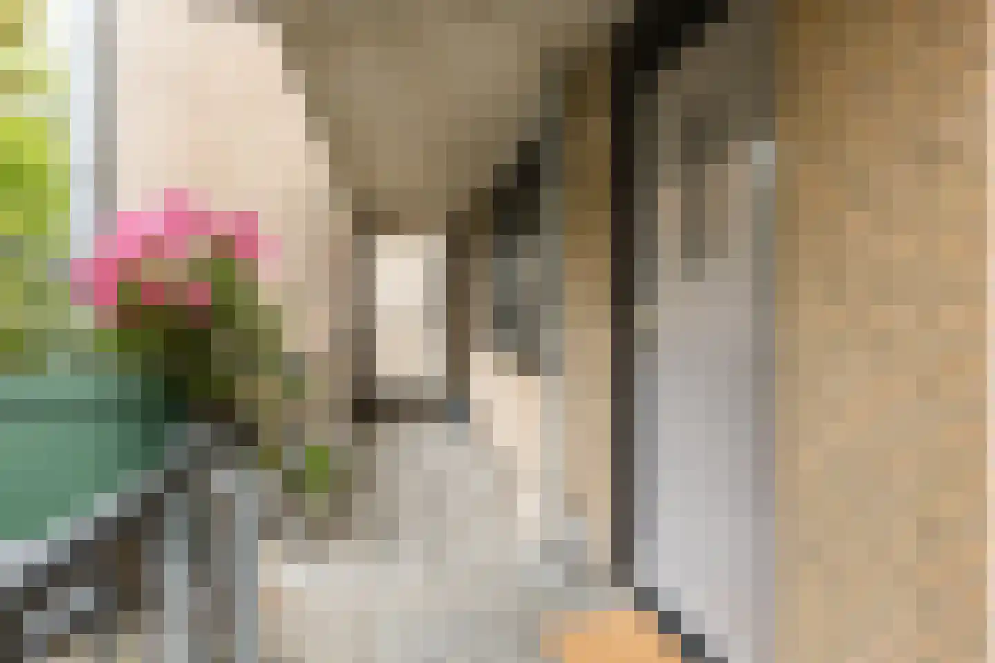 Schorsmolenstraat 3 B Breda thumbnail 9