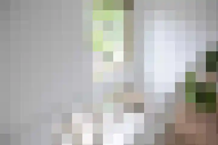Schorsmolenstraat 35 Groningen thumbnail 15