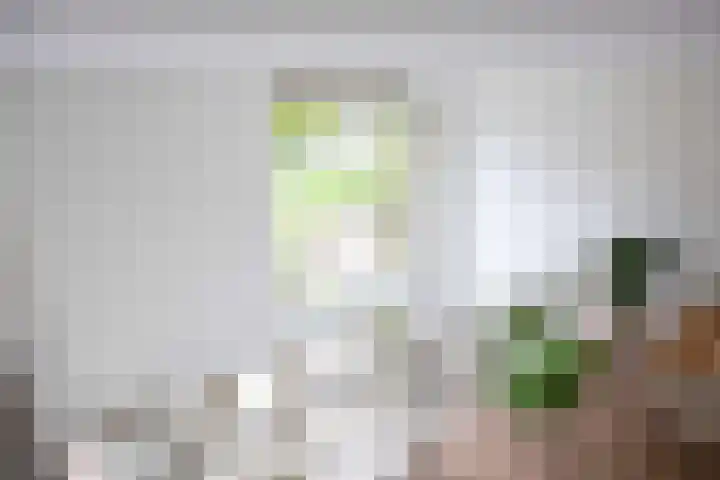 Schorsmolenstraat 35 Groningen thumbnail 19