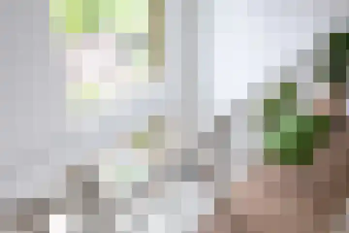 Schorsmolenstraat 35 Groningen thumbnail 20