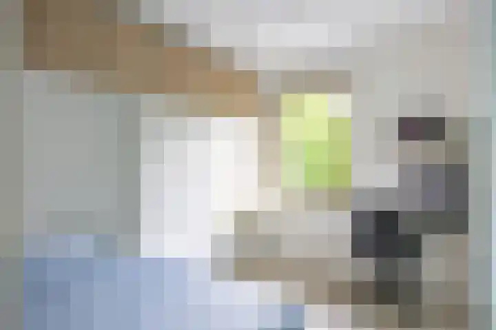 Schorsmolenstraat 35 Groningen thumbnail 33