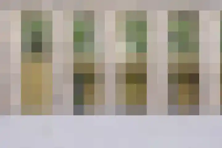 Schorsmolenstraat 35 Groningen thumbnail 4