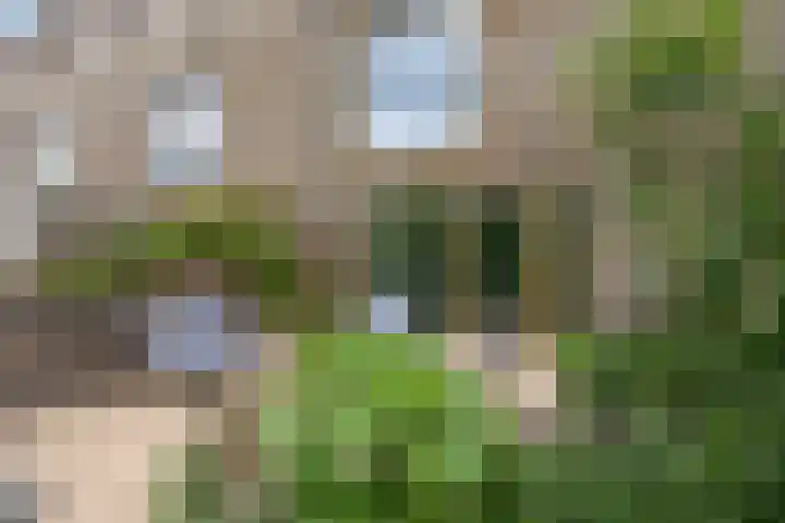 Schorsmolenstraat 35 Groningen thumbnail 40