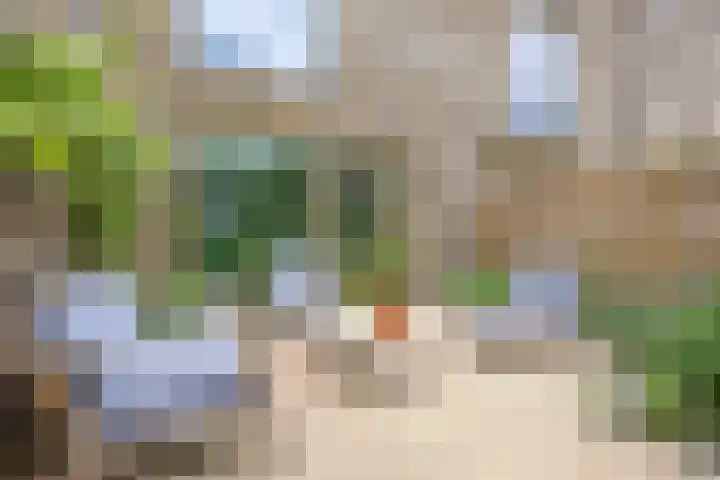 Schorsmolenstraat 35 Groningen thumbnail 41