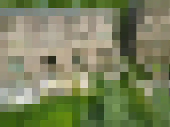 Schorsmolenstraat 35 Groningen thumbnail 42