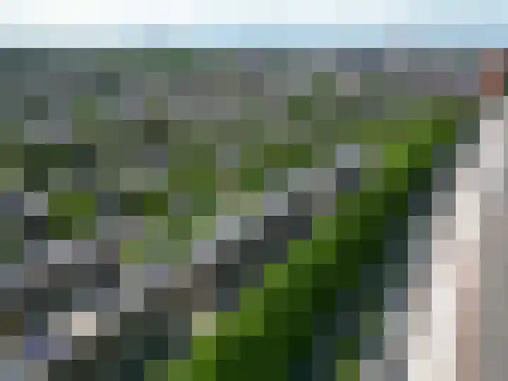 Schorsmolenstraat 35 Groningen thumbnail 50