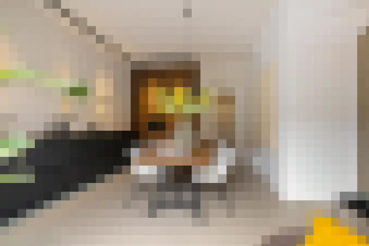 Schorsmolenstraat 47 Groningen thumbnail 12