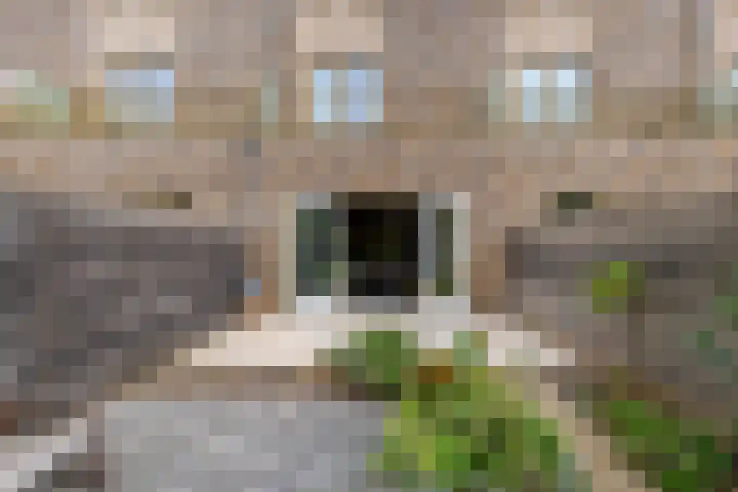 Schorsmolenstraat 47 Groningen thumbnail 16