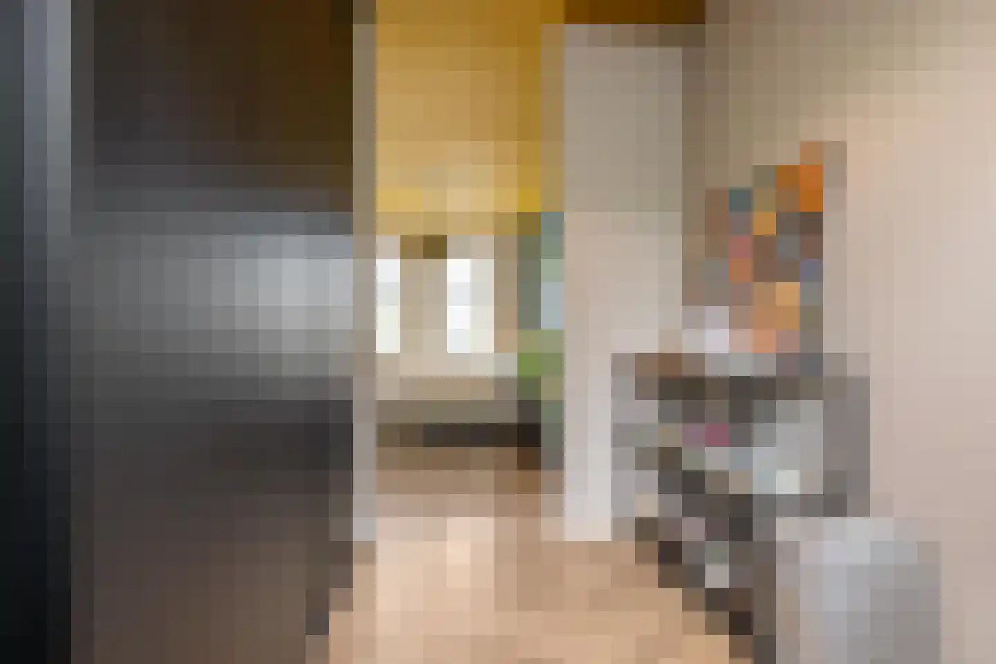 Schorsmolenstraat 47 Groningen thumbnail 28