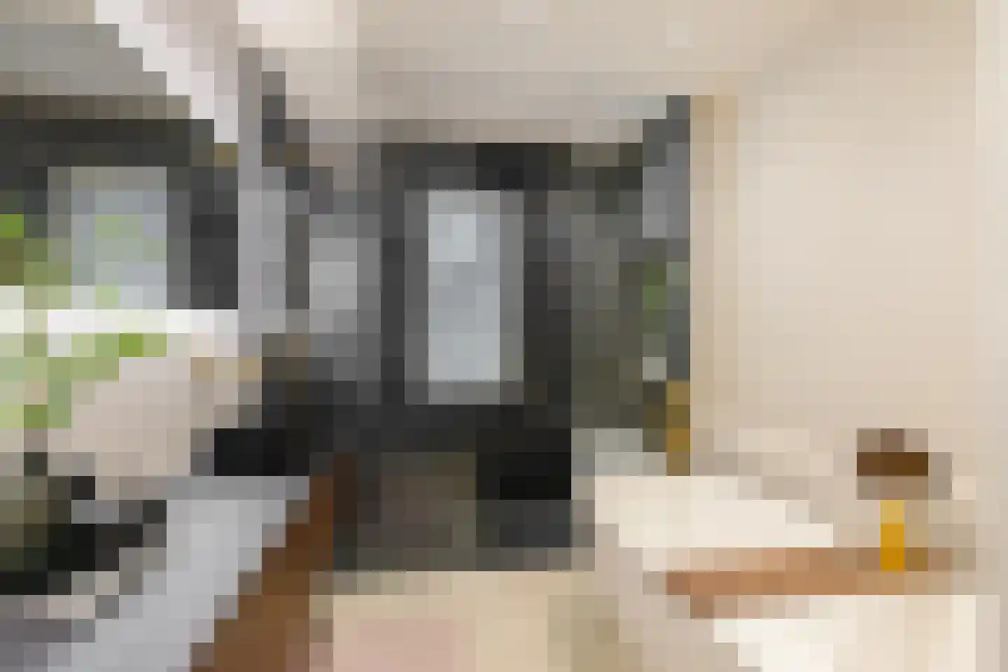 Schorsmolenstraat 47 Groningen thumbnail 29