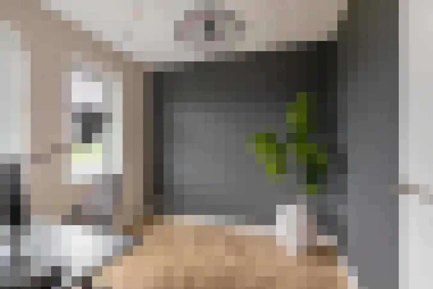 Schorsmolenstraat 47 Groningen thumbnail 34