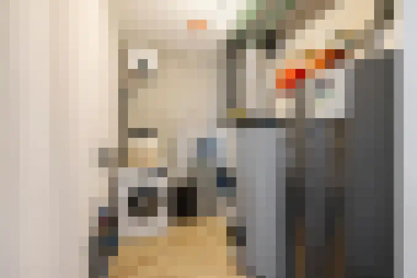 Schorsmolenstraat 47 Groningen thumbnail 38
