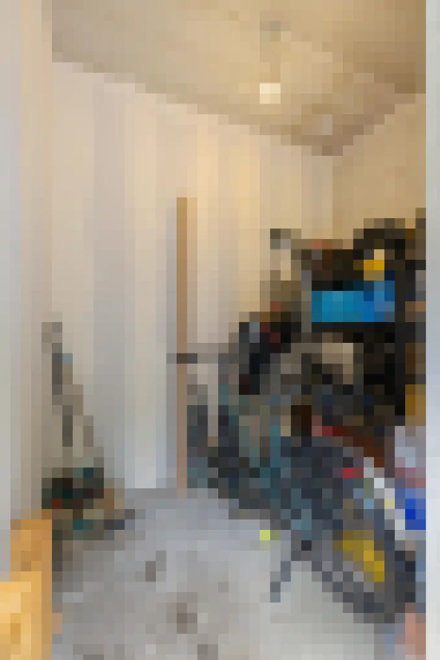 Schorsmolenstraat 47 Groningen thumbnail 39